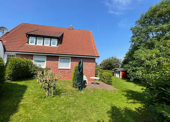 Strandlaeufer * 西里格